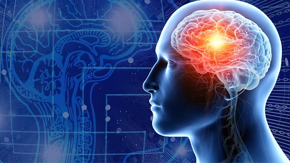 چگونه لیمبیک مغز را برای یادگیری تقویت کنیم؟